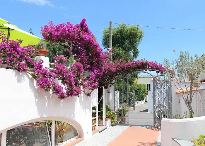 Cecilia Hotel