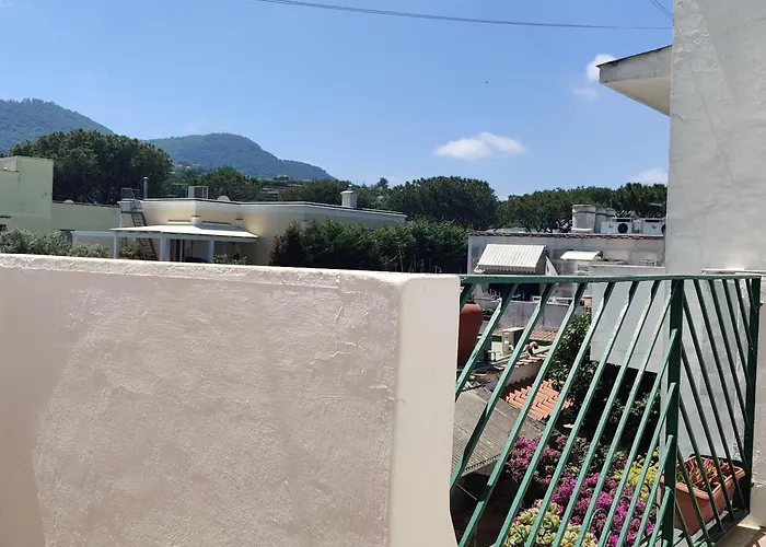 Cecilia Ischia