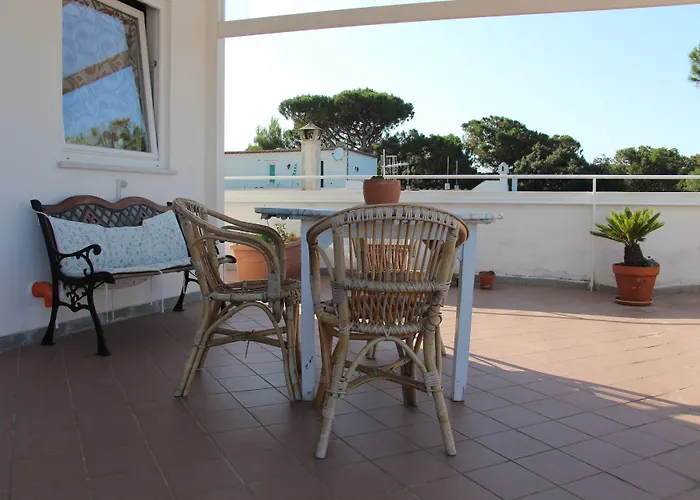 Cecilia Ischia