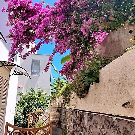 Hotel Cecilia Ischia