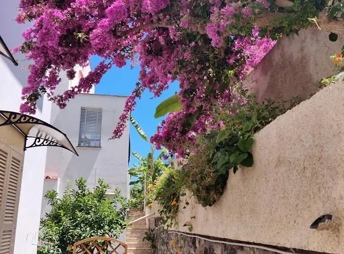 Cecilia Hotel Ischia