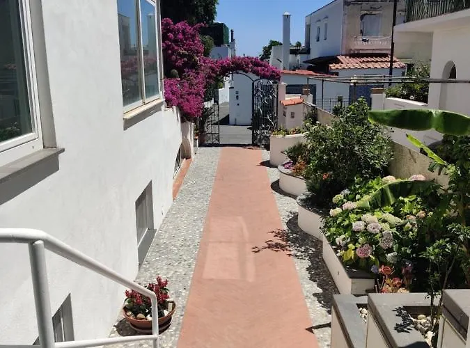 Cecilia Hotel Ischia