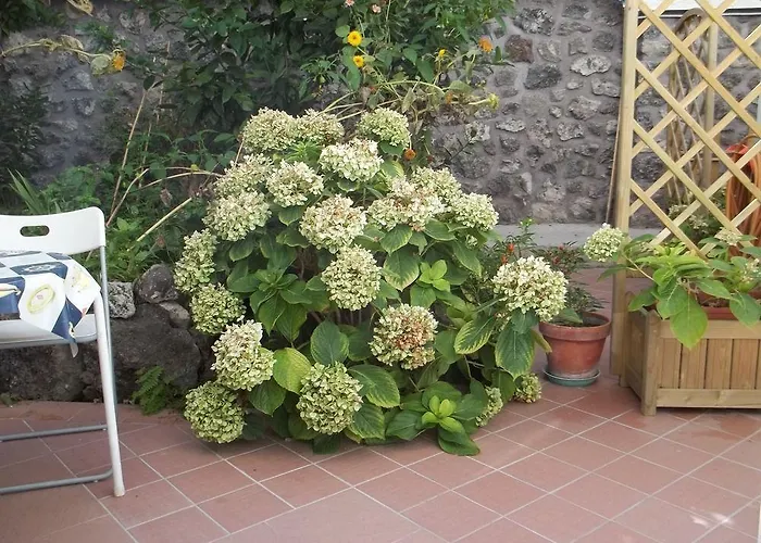 Cecilia Hotel Ischia