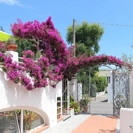 Cecilia Hotel