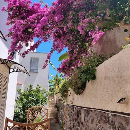 Cecilia Hotel Ischia