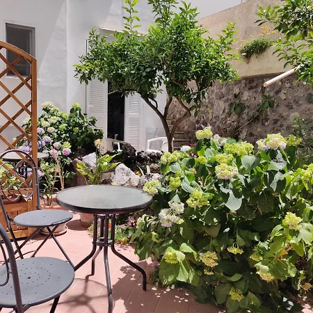 Cecilia Hotel