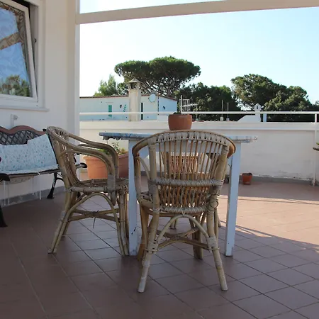 Cecilia Ischia